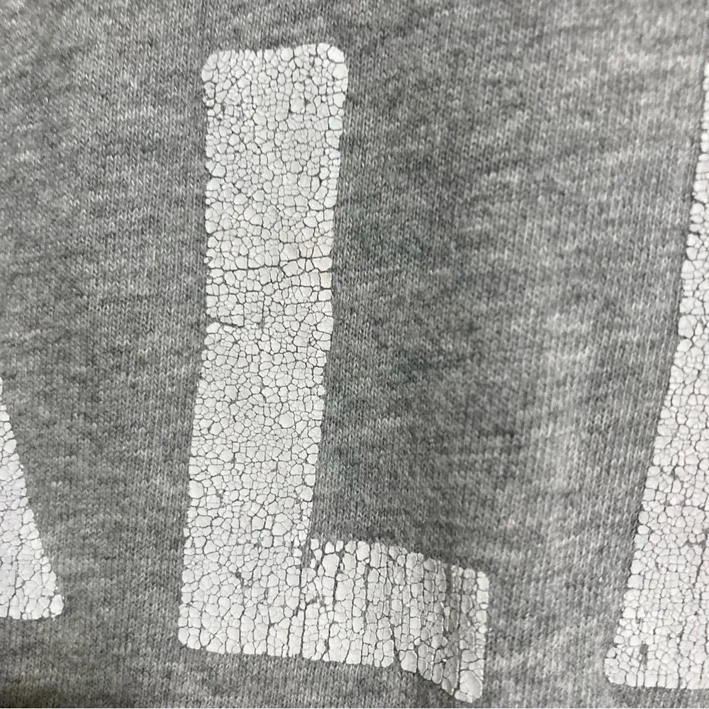 HOLLISTER HCO Huntington Beach Pier California Gray Grey Youth Inisex Large